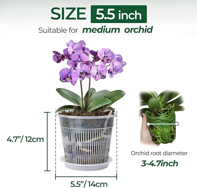 T4U Orchid Pot, 6 Pack 5.5 Inch Clear Orchid Pots with Holes and Saucers for Repotting, Plastic Flower Plant Pot with Drainage for Indoor Outdoor Plants, Slotted Orchids Planter for Root Health