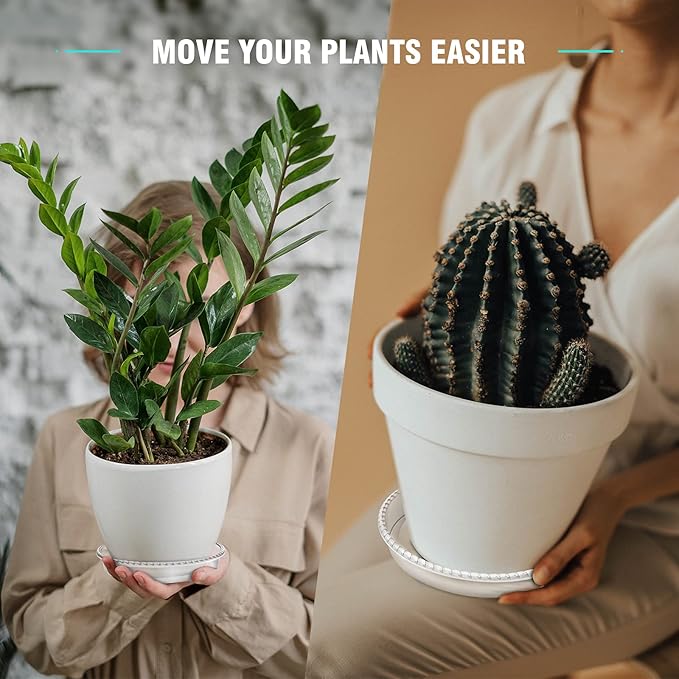 6 Pack Plant Saucer 6 8 10 12 14 Inch Plastic Plant Tray, Sturdy and Durable Flower Pot Container Accessories Plant Pot Saucers for Indoor and Outdoor (6 Inch, Clear)