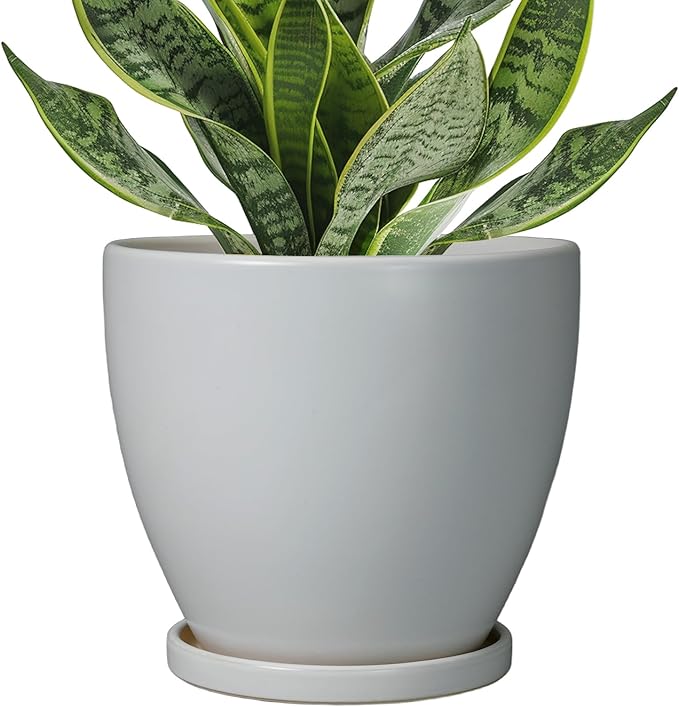 6 Inch Planter - Ceraimc Pots for Indoor Outdoor Plants Round Planters Modern Flower Pot with Drainage and Tray Home Garden Decor Brown