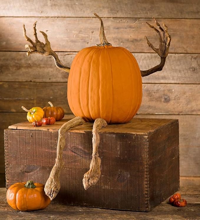 Plow & Hearth Set of 4 Bendable Pumpkin Arms and Legs | Create Whimsical Halloween Decor | Spooky Vine Design | Includes 2 arms and 2 Legs, Iron, Orange