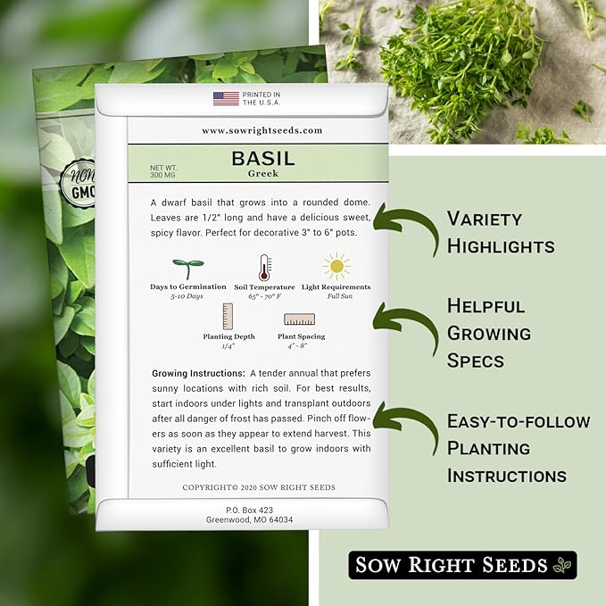 Sow Right Seeds - Greek Basil Seed for Planting - Non-GMO Heirloom Packet with Instructions for Easy Planting and Growing a Kitchen Herb Garden - Indoors & Outdoor - Small Leaved Dwarf Sweet Basil (1)