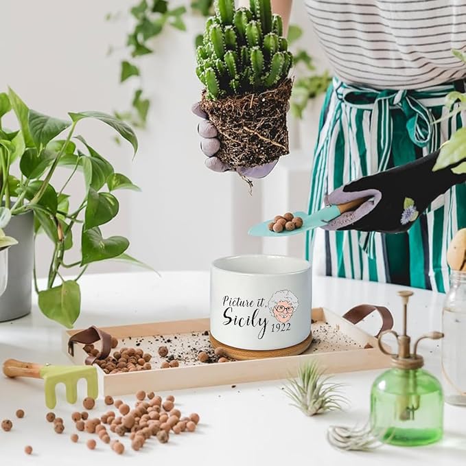 Funny Succulent Pots Set of 4 - Golden Inspired Merchandise Ceramic Mini Plant Pot with Bamboo Tray, Cute Planter for Indoor Decorations, Gifts for Women