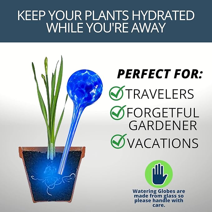 2 Large 3 Small Glass Plant Watering Globes - Plant Watering Devices - Plant Watering Bulbs - Self Watering Spikes - Self Watering Planter Insert - Free Moisture Meter Cotswold Homeware