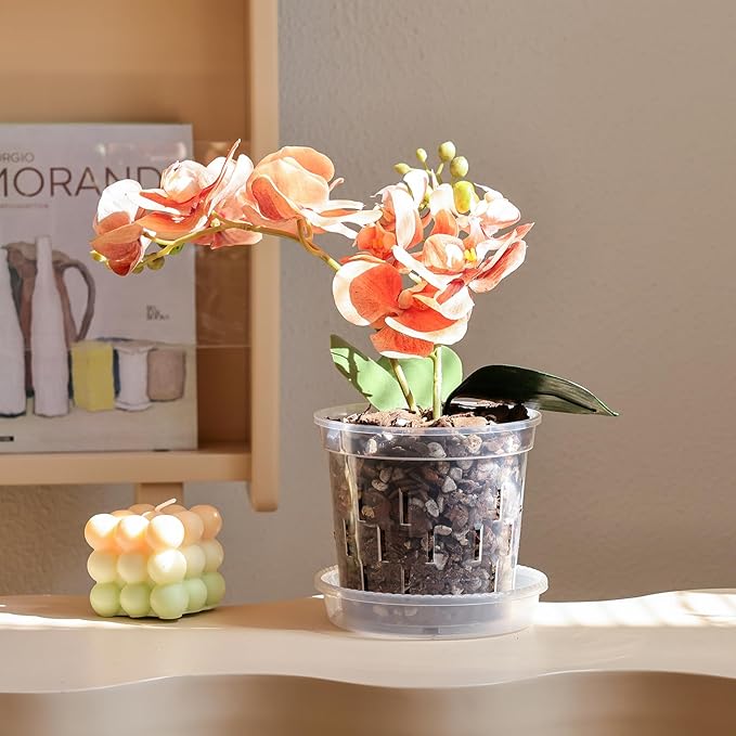 TRUEDAYS 6 Pack Orchid Pot with Saucers Garden Pot 5 Inch Clear Plastic Plant Pots with Drainage Holes for Indoor Outdoor Plants