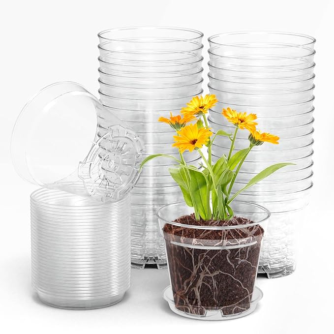 4 Inch Clear Nursery Pots, Set of 30 Transparent Plant Flower Pots for Small Indoor Plants with Drainage Holes & Trays, Plastic Seedling Starter Pots for Various Plants