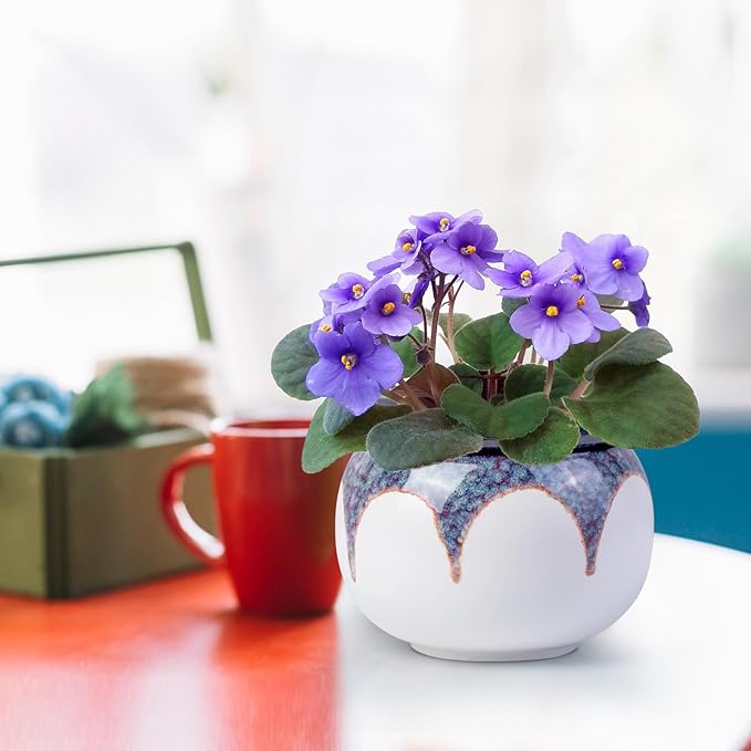 6 Inch Self Watering Pots for Indoor Plants, African Violet Pots, Ceramic Modern Decor Pots Efficient Absorption Water Plant Pot - Gradient Red