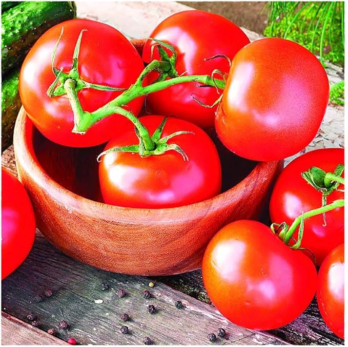 Park Seed Variety of Tomato Vegetable Seeds, Plant Seeds, Easy to Grow, Perfect for Harvesting, Celebrity Hybrid, Pack of 30