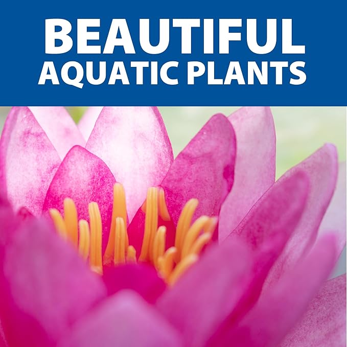 The Pond Guy Planting Tub Kit for Aquatic Plants with Soil & Media, Outdoor Water Garden Planter Pot for Lily, Lotus & Bog Plants, Large Tub Kit