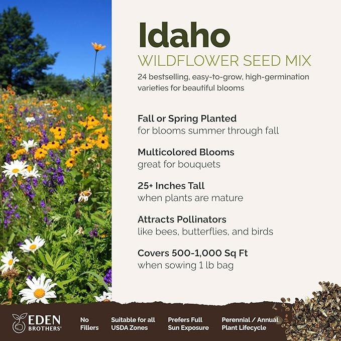 Eden Brothers Idaho Wildflower Mixed Seeds for Planting, 1 lb, 480,000+ Seeds with Foxglove, Cosmos | Attracts Pollinators, Plant in Spring or Fall, Zones