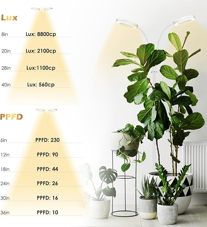 GLOWRIUM Grow Light with Stand,2-Head LED Plant Light for Indoor Plants, Full Spectrum Grow Lamp, 3/9/12H Timer, 6 Dimmable Levels, 3 Lighting Mode, Adjustable Height White
