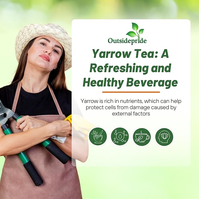 Outsidepride Achillea Millefolium Wild White Yarrow Seeds - 5000 Pcs Perennial Flower Seeds, Drought Resistant, Low Maintenance & Easy Planting for Beautiful Garden & Fireflies Attraction