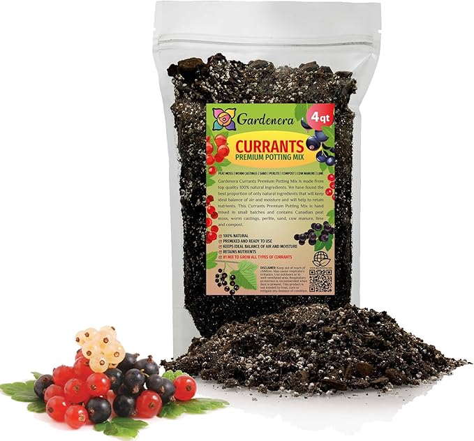 Premium Currant Plant Potting Soil Mix - Optimal Nutrient-Rich Blend for Thriving and Juicy Currants - 4 Quart