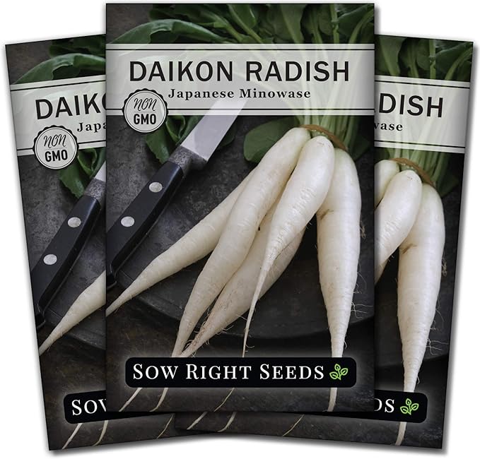 Sow Right Seeds - Japanese Minowase Daikon Radish Seeds for Planting - Non-GMO Heirloom Packet with Instructions to Plant a Home Vegetable Garden - Spring or Fall Planting Outdoors - Long White (3)