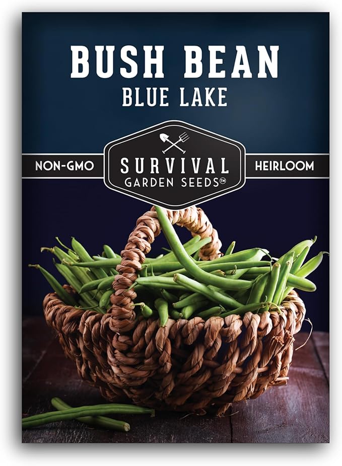 Survival Garden Seeds - Blue Lake Bush Bean Seed for Planting - 1 Packet with Instructions to Plant & Grow Green Stringless Snap Beans in Your Home Vegetable Garden - Non-GMO Heirloom Variety
