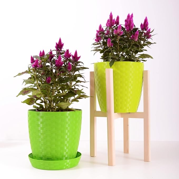 Professional Coco Coir | for Container and Garden Plants | Low Acidic Lightweight Soil Additive | Large 2.2 Quarts | Made in USA