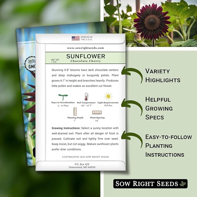 Sow Right Seeds - Chocolate Cherry Sunflower Seeds for Planting - Non-GMO Heirloom Packet with Instructions for Growing - Beautiful Giant Flower - Rare Burgundy and Dark Brown Petals (4)