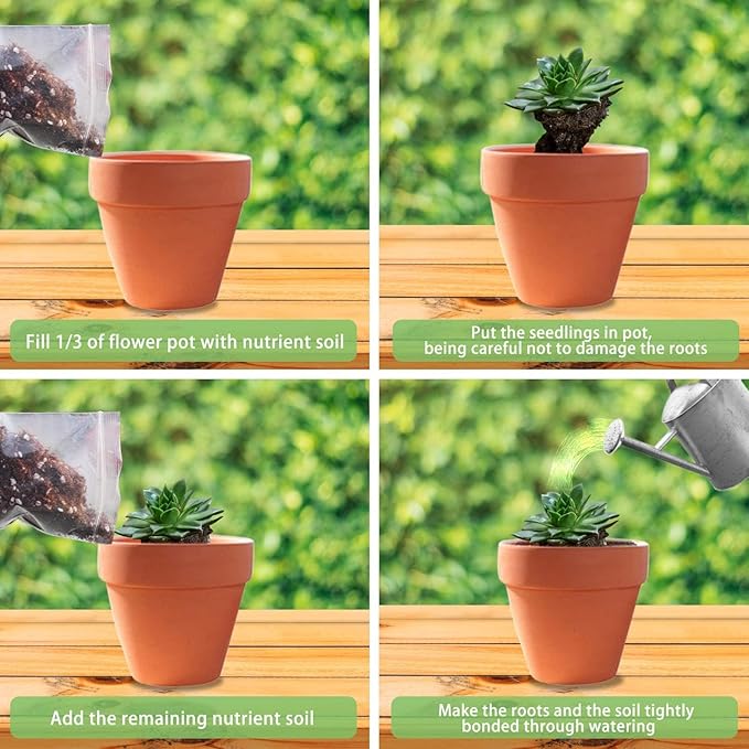 Halatool 3 QT Organic Aloe Plant Soil Potting Mix Garden Top Succulent Soil for Indoor & Outdoor Plants Bonsai Aloe Vera Soil for Houseplants Flowers Vegetables & Herbs