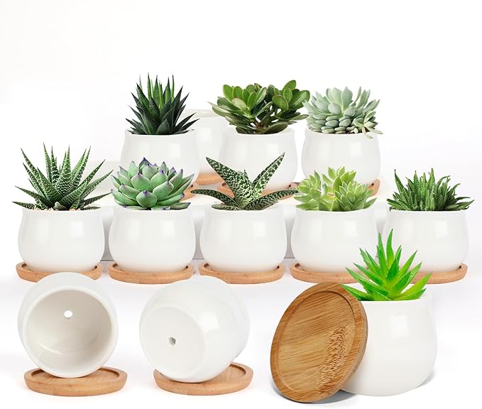 Succulent Pots, White Mini 2.5 inch Ceramic Flower Planter Pot with Bamboo Tray, Pack of 12 - Plants Not Included