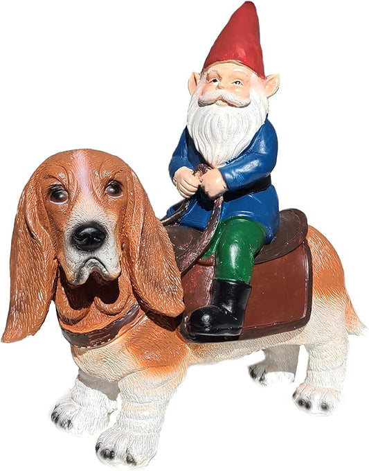 Funny Guy Mugs Gnome Riding A Basset Hound - Funny Garden Gnomes Gifts for Women - Garden Gnomes for Outdoors - Gifts for Dog Lovers - Indoor/Outdoor Garden Gnome Sculpture for Patio, Yard or Lawn