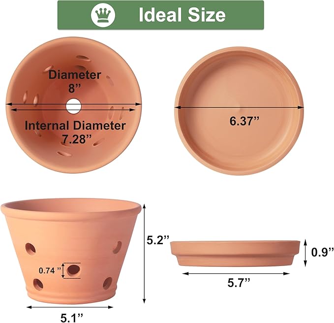 8 inch Terracotta Orchid Pots with Holes and Saucers, 2 Pack Clay Orchid Planter Pots for Repotting, Large Terra Cotta Orchid Pot, Plant Flower Pots for Orchid Indoor Outdoor Promotes Air Circulation