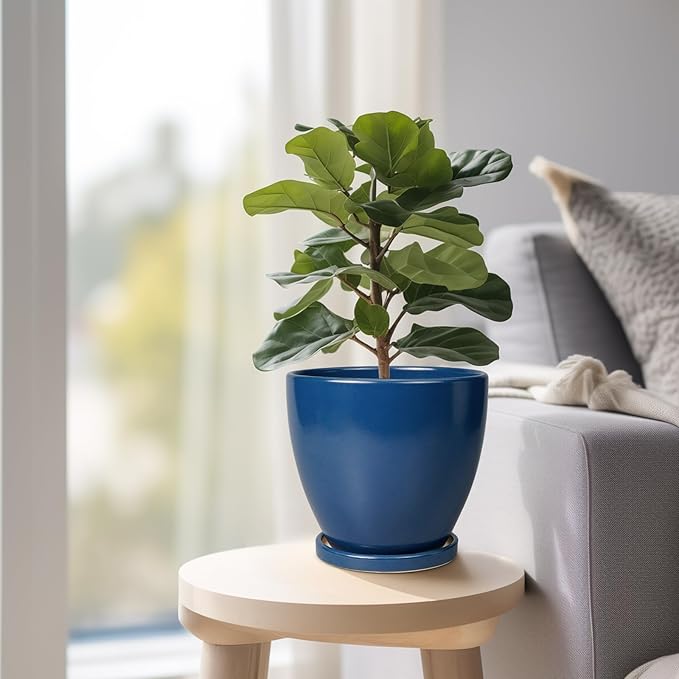 6 Inch Plant Pot - Ceramic Planter with Drainage Hole and Saucer, Modern Round Flower Pot, Planters for Indoor Plants, Home Garden Decor, Blue