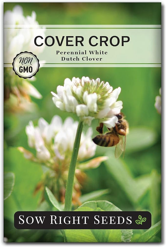 Sow Right Seeds - White Dutch Clover Seed for Planting - Cover Crops to Plant in Your Home Garden - Nitrogen Fixer - Suppress Weeds - Attracts Pollinators - Non-GMO Heirloom Seeds - Gardening Gift (1)
