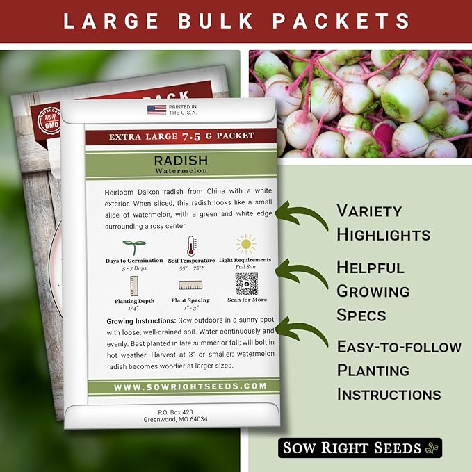 Sow Right Seeds - Bulk Watermelon Radish Seed for Planting - 10 Grams, 950 Seeds - Non-GMO Heirloom Jumbo Pack with Instructions to Plant a Home Vegetable Garden - Grow Loads of This Rare Veggie