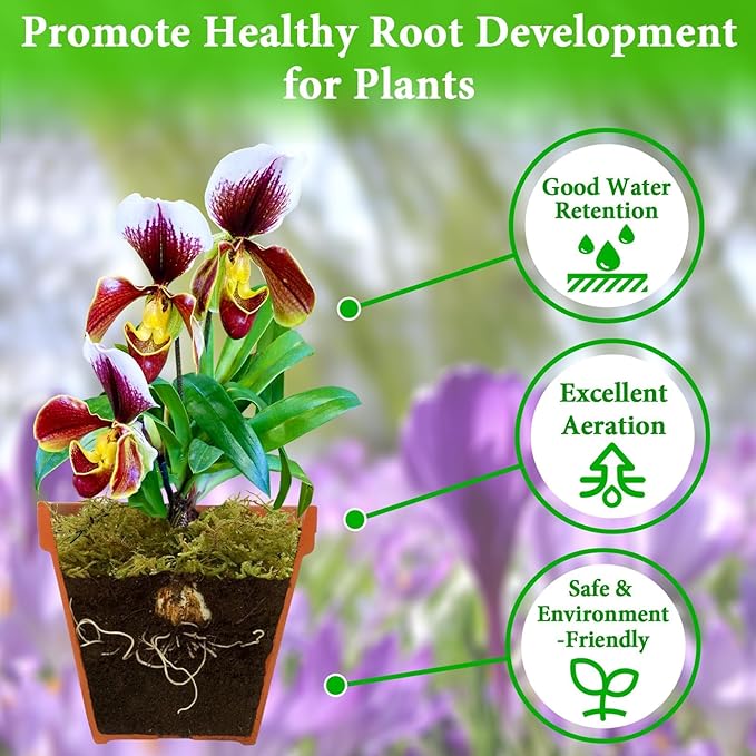 Halatool 8OZ Green Forest Moss- 12QT Natural Sphagnum Moss for Plants Fluffy Orchid Moss for Orchids Repotting Dried Plant Moss for Potted Plants Indoor & Outdoor