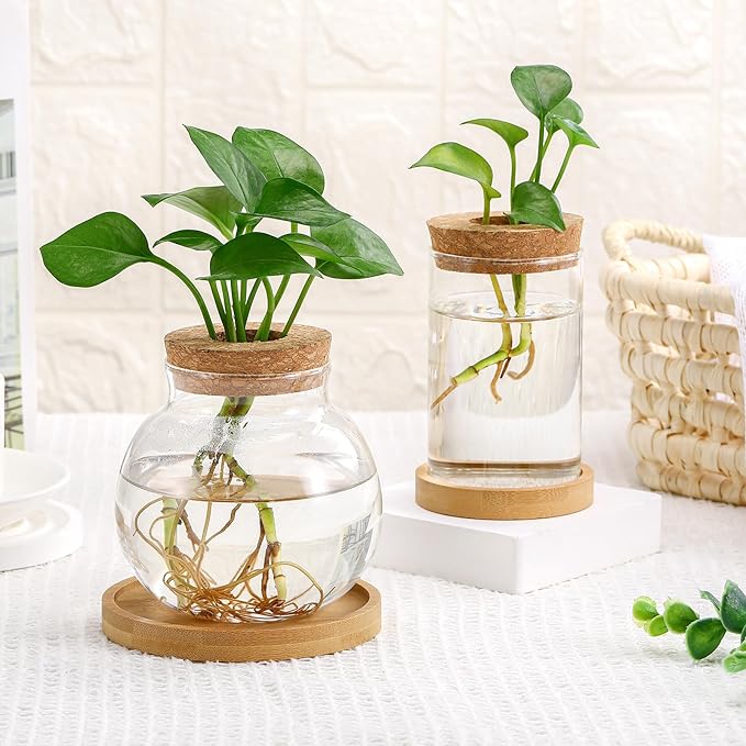 Layhit 4 Pcs Plants Propagation Stations Separated Desktop Plant Terrarium Glass Planter Vase with Wooden Lid and Bamboo Stand for Growing Hydroponic Home Office Tabletop Decoration (Funny Style)