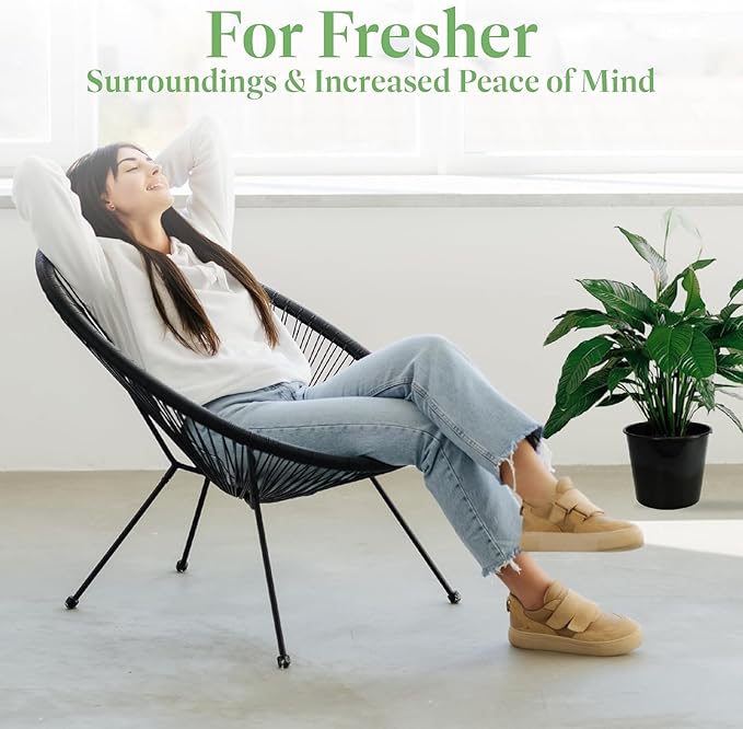 American Plant Exchange Spathiphyllium Peace Lily Live Plant, Large 10-Inch Pot, Indoor Flowering Houseplant, Easy Care, Low Light, Perfect for Home & Office, Housewarming, Sympathy Gift