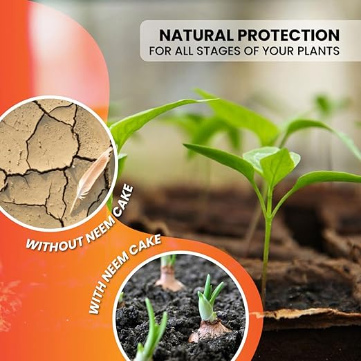 Premium Neem Cake, Natural Fertilizer for Gardening and Soil Amendment (6LB)