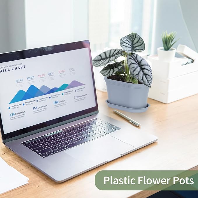 Windowsill Herb Garden Planter with Tray, Set of 6 Grey Oval Farmhouse Garden Pots for Indoor/Outdoor Plants (No Seeds)