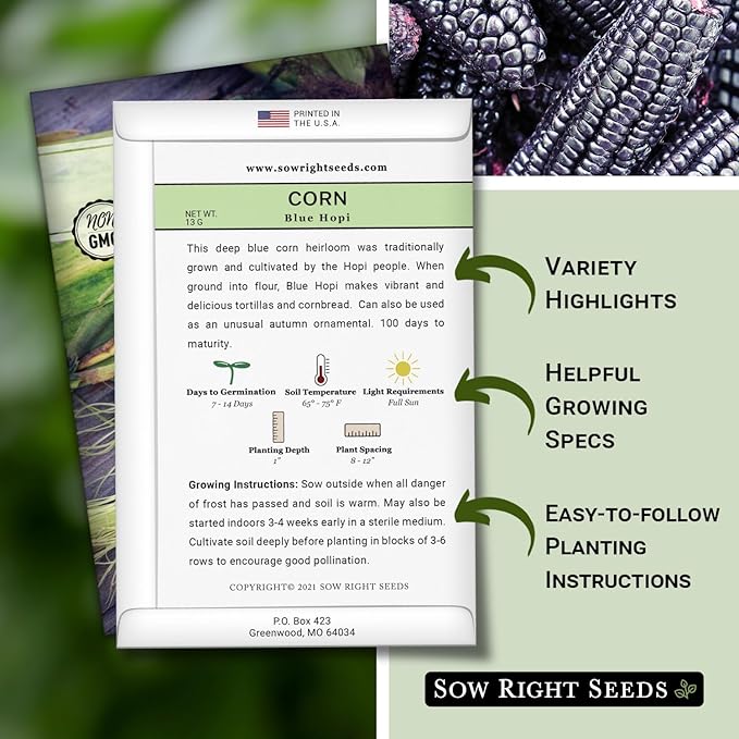 Sow Right Seeds - Blue Hopi Corn Seed for Planting - Non-GMO Heirloom Packet with Instructions to Plant and Grow an Outdoor Home Vegetable Garden - Great for Blue Corn Flour Cooking (1)