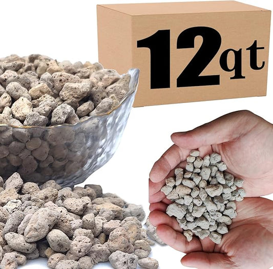 12QT Horticultural Pumice for Plants Professional Sifted - for Succulents, Cactus, Bonsai Plants - 3/8 inch (12QT)