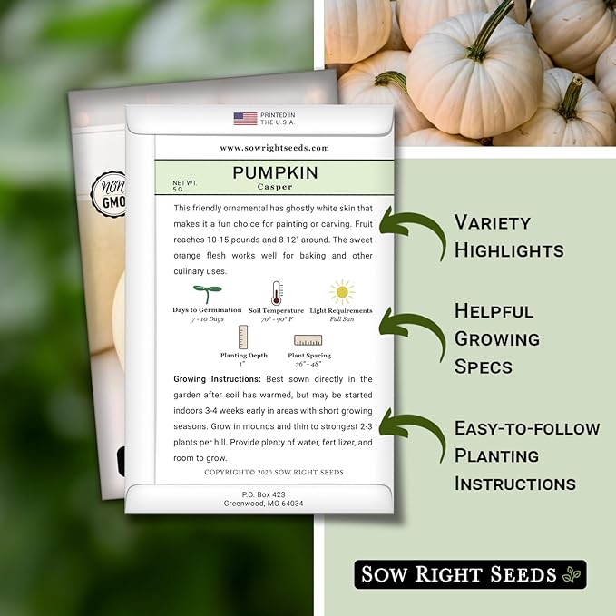 Sow Right Seeds - Casper Pumpkin Seed for Planting - Non-GMO Heirloom Packet with Instructions to Plant a Home Vegetable Garden - Striking White Variety - Autumn Decor or Unique Jack o Lanterns (2)