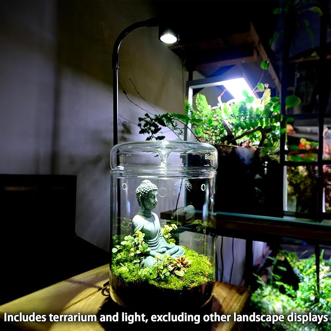 Glass Plant Terrarium 4.7"X7" Inches Succulent Air Planter Fern Moss Micro-Landscape Vase for Home Office Tabletop Decoration Container with Lid Indoor Wardian Copyright Patent（with Light）