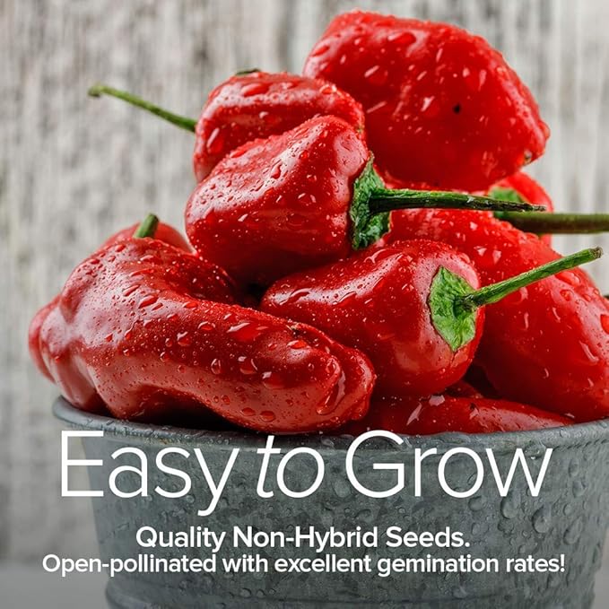 Gardeners Basics, Pepper Seeds for Planting 8 Varieties Pack, Jalapeno, Habanero, Bell Pepper, Cayenne, Hungarian Hot Wax, Anaheim, Serrano, Cubanelle Heirloom Seeds for Planting in Garden Non GMO