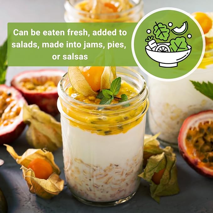 Sow Right Seeds - Ground Cherries Seeds for Planting - Non-GMO Heirloom Packet with Instructions to Plant an Outdoor Home Vegetable Garden - Mexican Husk Tomato - Endangered Variety (2)