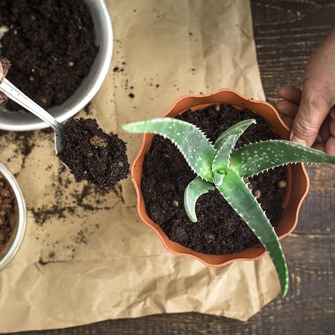 Aloe Vera Potting Soil Mix 10qt, Ready to Use for Seedling and Growing of Aloe Vera Plants or Other Houseplants
