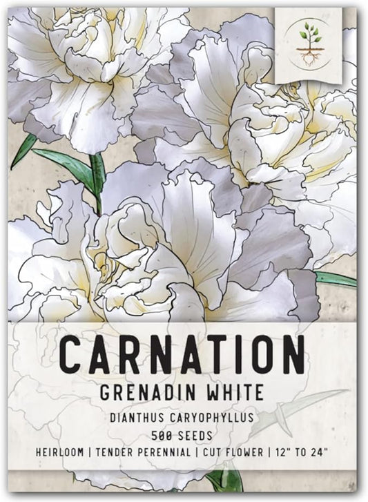 Seed Needs, Grenadin White Carnation Seeds - 500 Heirloom Seeds for Planting Dianthus caryophyllus - Annual Cut Flowers to Plant in The Garden (1 Pack)