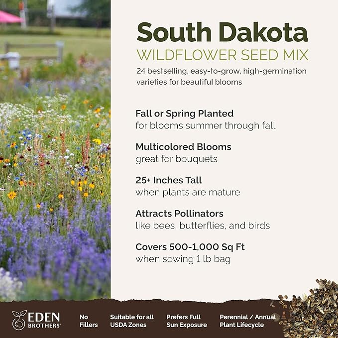 Eden Brothers South Dakota Wildflower Mixed Seeds for Planting, 1 lb, 480,000+ Seeds with Sweet Alyssum, Toadflax | Attracts Pollinators, Plant in Spring or Fall, Zones