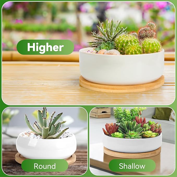 ZOUTOG Plant Pot 6 Inch, Ceramic Succulent Pots for Flower with Drainage Hole & Bamboo Tray, Higher White Round Pack of 2 with Home, Office, Indoor or Outdoor Decor - Plants Not Included
