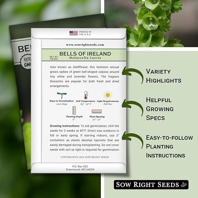 Sow Right Seeds - Bells of Ireland Flower Seeds for Planting - Unique Green Flowers to Plant in Your Home Garden - Non-GMO Heirloom Packet with Instructions - Annual Blooms Attract Pollinators
