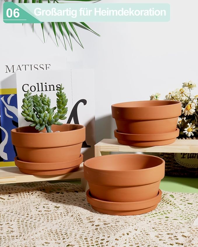 vensovo 5.7 Inch Terracotta Shallow Succulent Pot - 6 Pack Terra Cotta Clay Pots with Saucer, Cacuts Terra-Cotta Indoor and Outdoor Planters with Drainage Hole