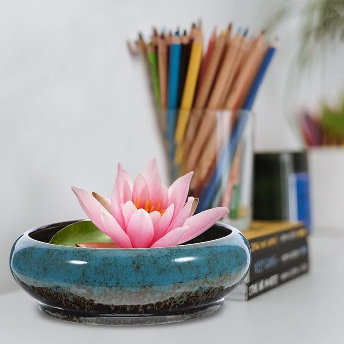 Happyyami Plant Pot Hydroponic Plant Succulent Pots Ceramic Round Decorative Bowl Hydroponic Water Lily Planter Pot for Flowers Succulent Table Centerpiece (Random Color) Indoor Plant Pots