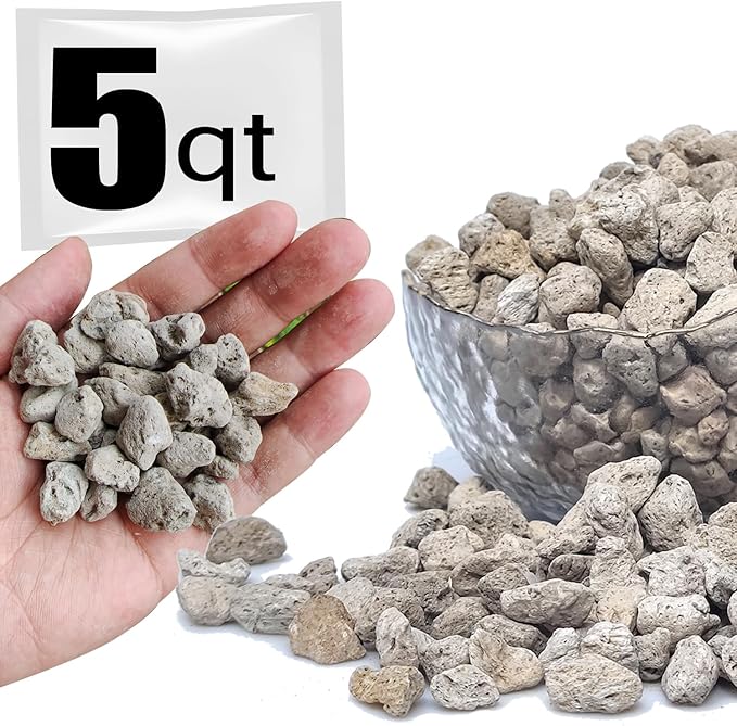 Horticultural Pumice for Plants Professional Sifted (5QT, 1/2 inch)