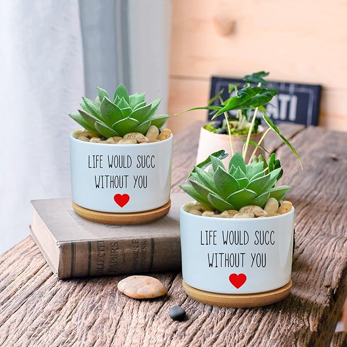 Funny Life Would SUCC Without You Planter Pots, White Ceramic Engraved Mini Succulent Cactus Planter Pot, Home Office Windowsill Plant Pots for Plant Lover Birthday