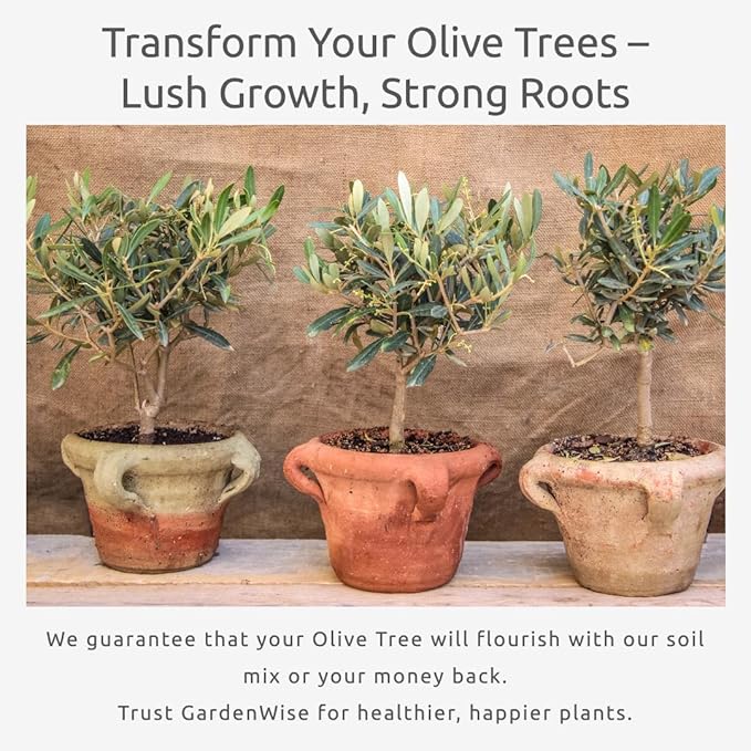 Organic Olive Tree Potting Mix – Fast-Draining, Nutrient-Rich Soil for Indoor & Outdoor Olive Trees – Mediterranean Plant Care – Long-Lasting Formula (1 Quart)