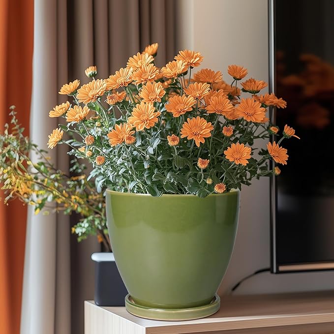 8 Inch Planter - Ceramic Plant Pot with Drainage Hole and Tray Round Planters Modern Flower Pot for Room Home Office Patio Porch Garden Decor Green