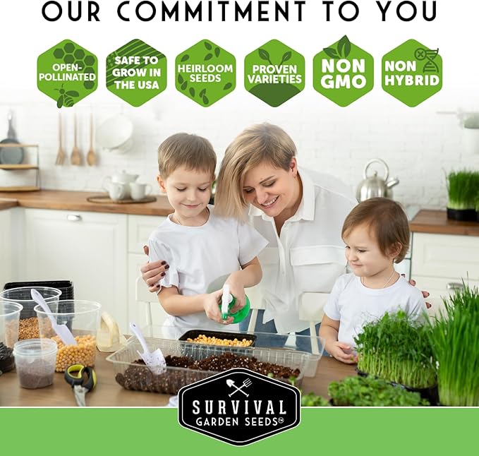 3 Packs Clover Microgreens Seeds for Sprouting and Growing - Sprout Green Leafy Micro Herb Plants Indoors - Grow A Mini Windowsill Garden - Non-GMO Heirloom